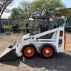IMG_8499 Bobcat 543