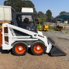 IMG_8503 Bobcat 543