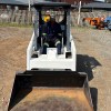 IMG_8505 Bobcat 543