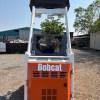 IMG_8509 Bobcat 543