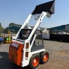 IMG_8510 Bobcat 543