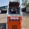 IMG_8517 Bobcat 543